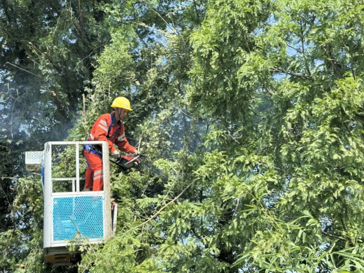 集團各業務板塊戰高溫保安全
